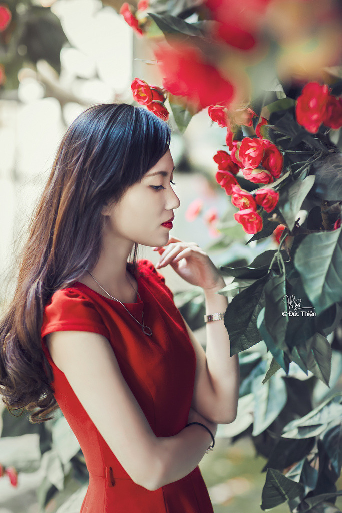 妈妈我想你高清mv观看视频免费网站